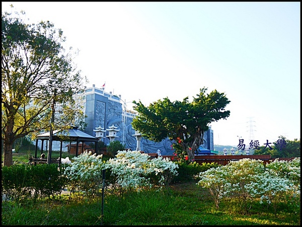 易經大學:<南投景點>寒流來襲讓南投山區偷偷下雪啦~「易經大學」 易經大學:<南投景點>寒流來襲讓南投山區偷偷下雪啦~「易經大學」