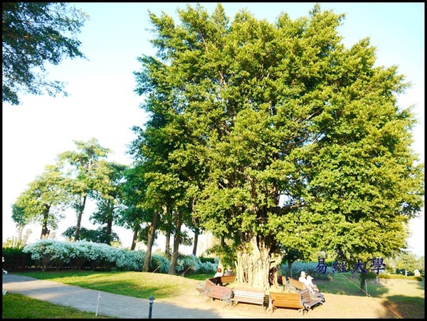 易經大學:<南投景點>寒流來襲讓南投山區偷偷下雪啦~「易經大學」 易經大學:<南投景點>寒流來襲讓南投山區偷偷下雪啦~「易經大學」