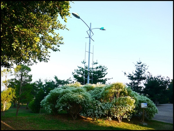 易經大學:<南投景點>寒流來襲讓南投山區偷偷下雪啦~「易經大學」 易經大學:<南投景點>寒流來襲讓南投山區偷偷下雪啦~「易經大學」