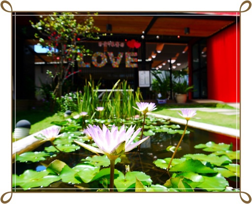 珍愛印象餐坊:健康新理念~珍愛印象餐坊 珍愛印象餐坊:健康新理念~珍愛印象餐坊