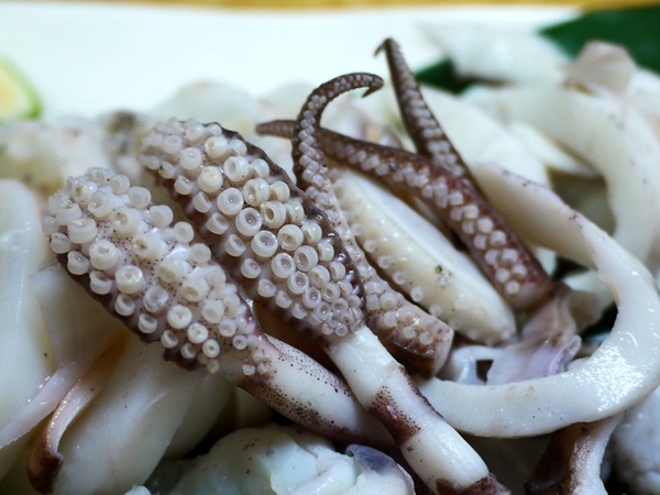 海鮮小舖:有「青」才敢大聲~~之~~~海鮮小舖 海鮮小舖:有「青」才敢大聲~~之~~~海鮮小舖