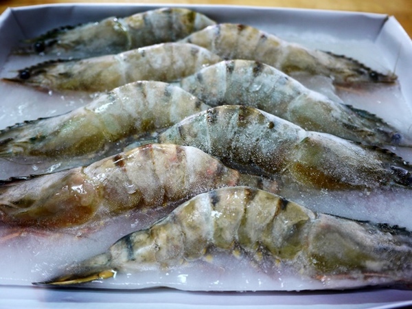 海鮮小舖:有「青」才敢大聲~~之~~~海鮮小舖 海鮮小舖:有「青」才敢大聲~~之~~~海鮮小舖