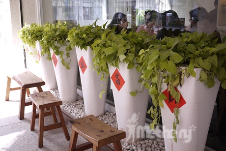 _1030658.JPG _1030658.JPG