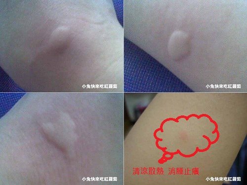 能量活力霜 能量活力霜