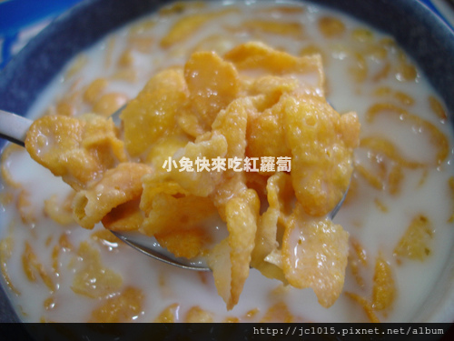 家樂氏聰明的早餐 家樂氏聰明的早餐