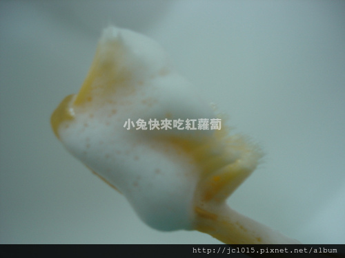 雲南白藥牙膏 雲南白藥牙膏