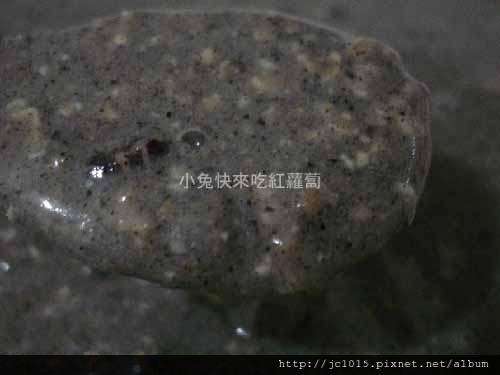 食用照(克寧臻品穀奶試吃2) 食用照(克寧臻品穀奶試吃2)