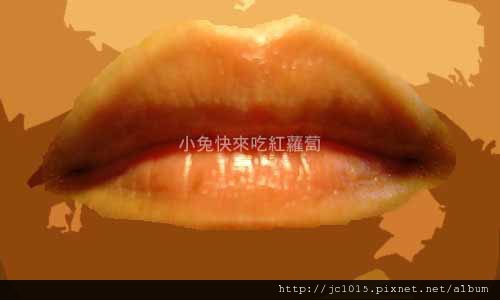 CARMEX小蜜媞藥用防曬潤唇膏 CARMEX小蜜媞藥用防曬潤唇膏
