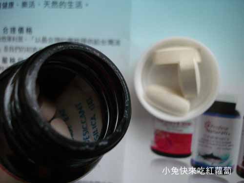 優沛康【Profusenaturals沛然】8小時維他命C緩釋錠20粒裝 優沛康【Profusenaturals沛然】8小時維他命C緩釋錠20粒裝