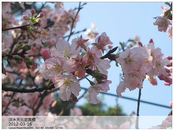 IMG_5134_副本 IMG_5134_副本