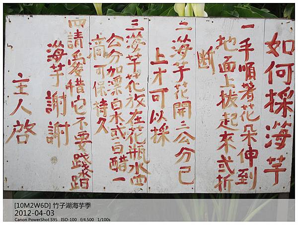 IMG_6161_副本 IMG_6161_副本