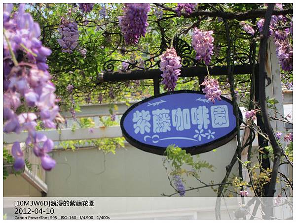 IMG_6541_副本 IMG_6541_副本