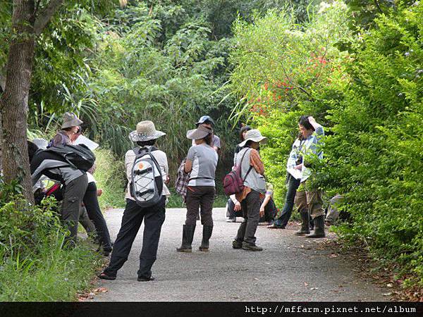110907少年春陽演練 水生池外 岔路口.JPG 110907少年春陽演練 水生池外 岔路口.JPG