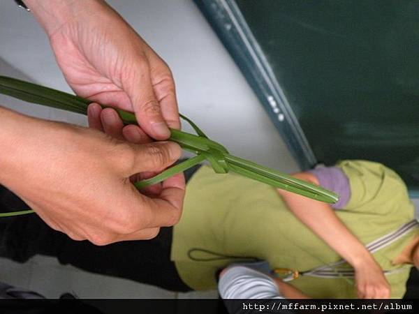 110907少年春陽演練 郁葶草編蚱蜢課程 (6).JPG 110907少年春陽演練 郁葶草編蚱蜢課程 (6).JPG