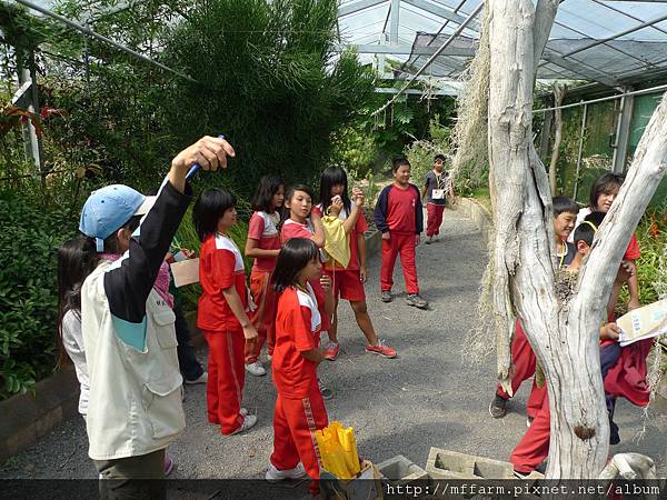 要7隻手錶...快找... (1).JPG