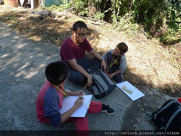 在畫畫的大家(1).JPG 在畫畫的大家(1).JPG