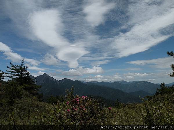 100520南湖 紅毛杜鵑天空與中央尖山.JPG