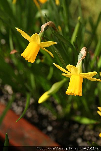 IMG_7679.JPG IMG_7679.JPG