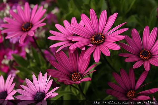 IMG_7667.JPG IMG_7667.JPG