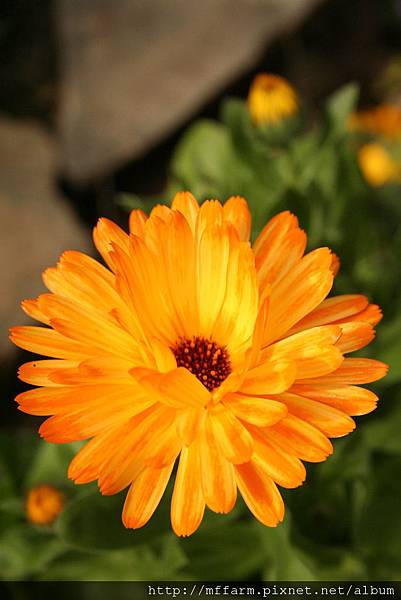 IMG_7744.JPG IMG_7744.JPG