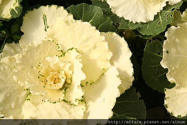 IMG_7687.JPG IMG_7687.JPG