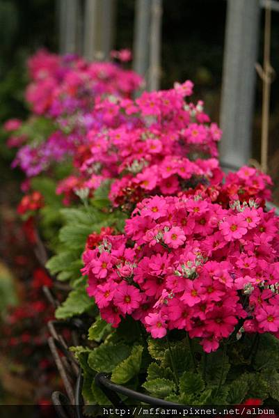 IMG_7769.JPG IMG_7769.JPG