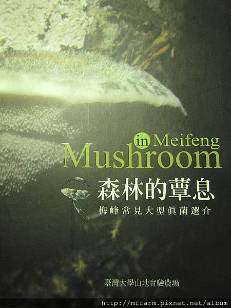 457003_10151041591480050_713126113_o