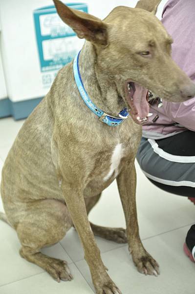 DSC_0020.JPG DSC_0020.JPG