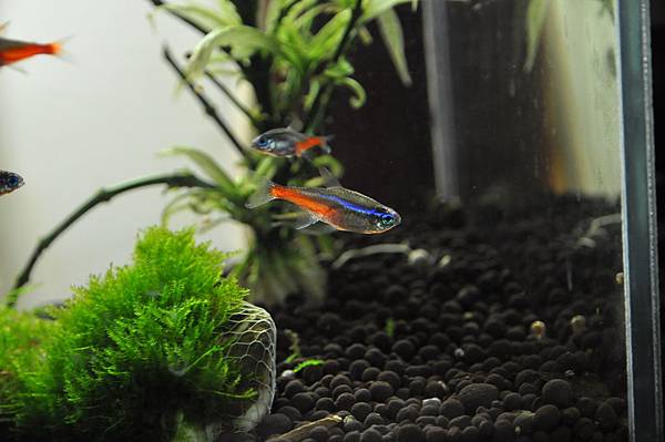 2011/04/05 第一次拍攝