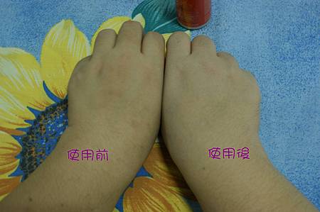 DSC01164-01.JPG