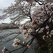 IMG_3478 のコピー IMG_3478 のコピー