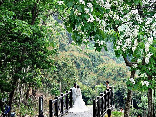 DSC_4540.jpg DSC_4540.jpg