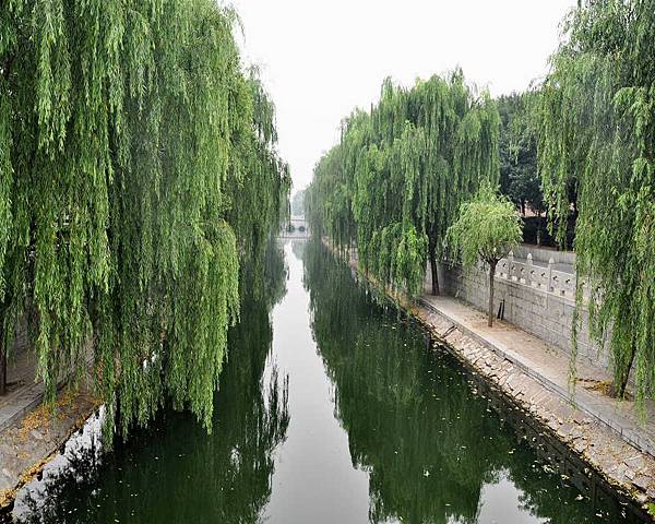 DSC_4547.jpg DSC_4547.jpg