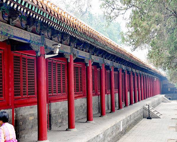 DSC_4620.jpg DSC_4620.jpg