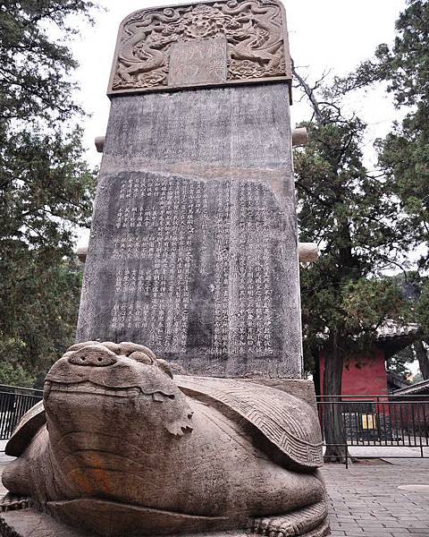 DSC_4631.jpg DSC_4631.jpg