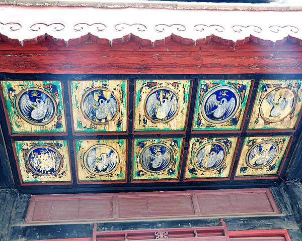 DSC_4677.jpg DSC_4677.jpg