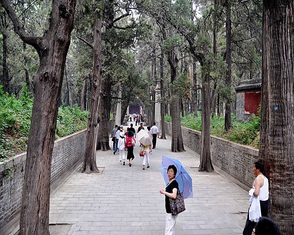 DSC_4699.jpg DSC_4699.jpg