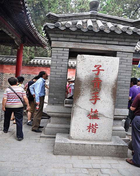 DSC_4702.jpg DSC_4702.jpg