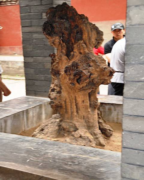 DSC_4703.jpg DSC_4703.jpg