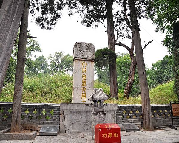 DSC_4707.jpg DSC_4707.jpg