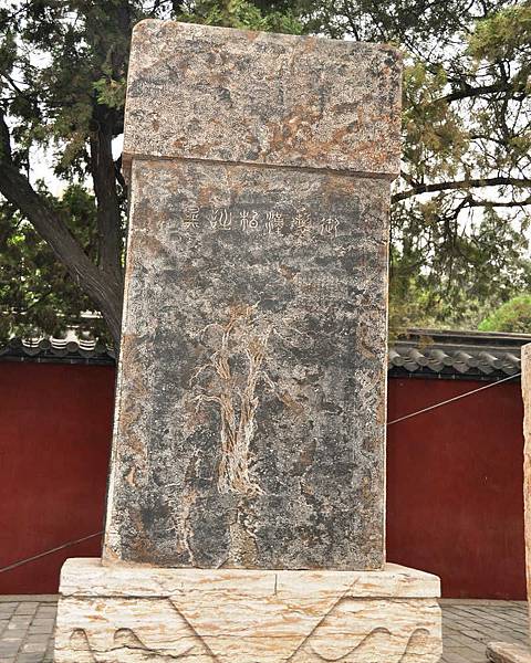 DSC_4748.jpg DSC_4748.jpg