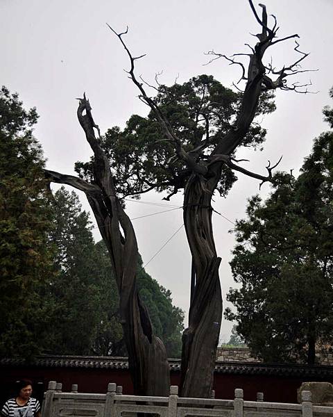 DSC_4751.jpg DSC_4751.jpg