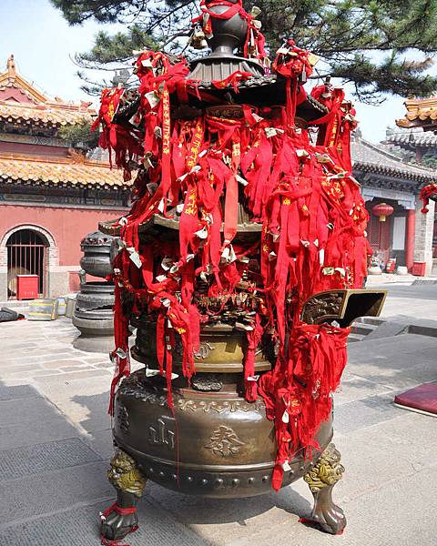 DSC_4816.jpg DSC_4816.jpg