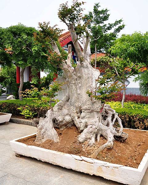 DSC_4997.jpg DSC_4997.jpg