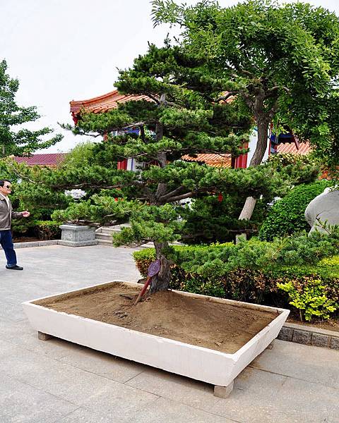 DSC_4998.jpg DSC_4998.jpg