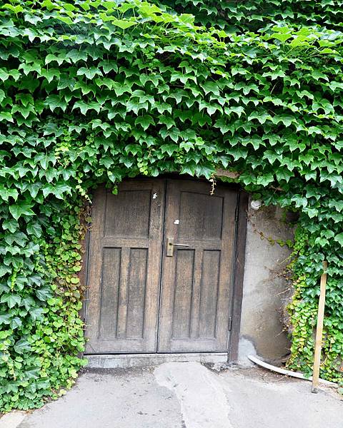 DSC_5290(001).jpg DSC_5290(001).jpg