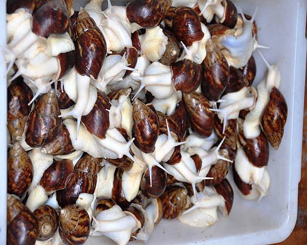 DSC_5312.jpg DSC_5312.jpg