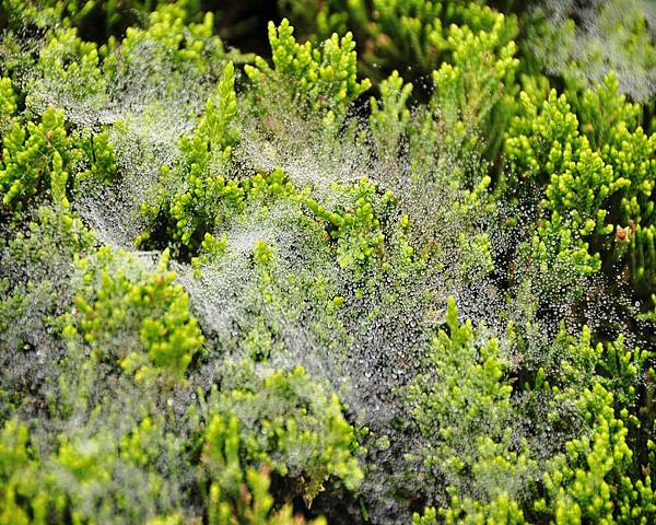 DSC_5534.jpg DSC_5534.jpg