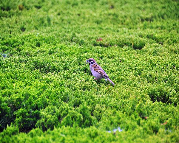 DSC_5539.jpg DSC_5539.jpg