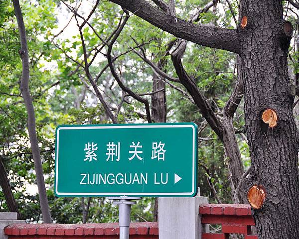 DSC_5550.jpg DSC_5550.jpg